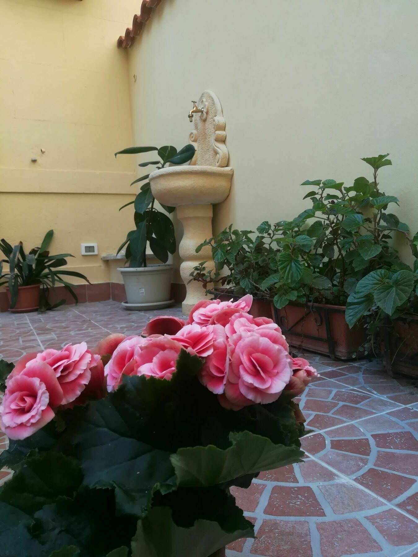 Hotel Le Rose Del Viale Palermo Exterior foto