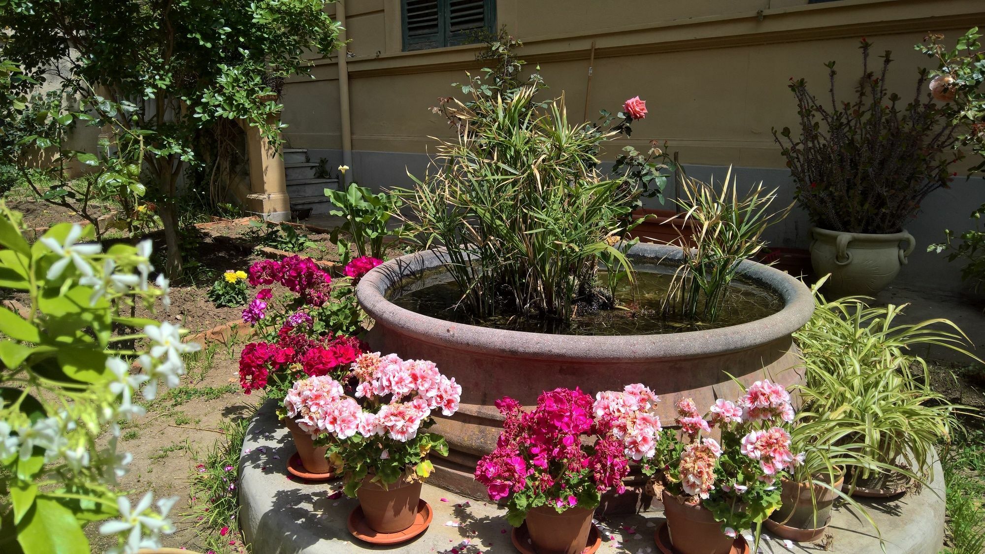 Hotel Le Rose Del Viale Palermo Exterior foto